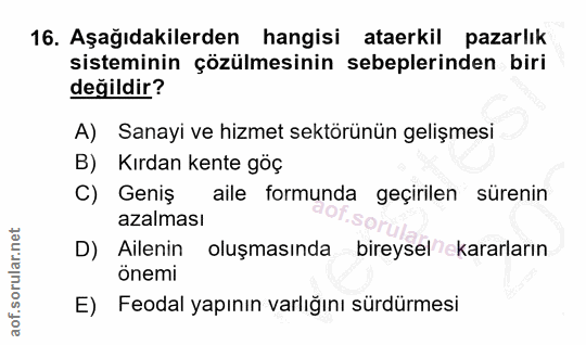 Soru 16