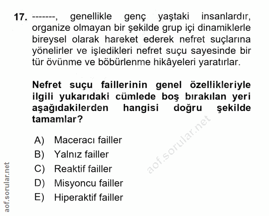 Soru 17