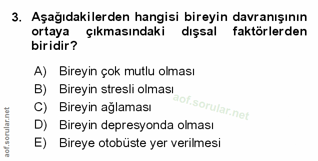 Soru 3