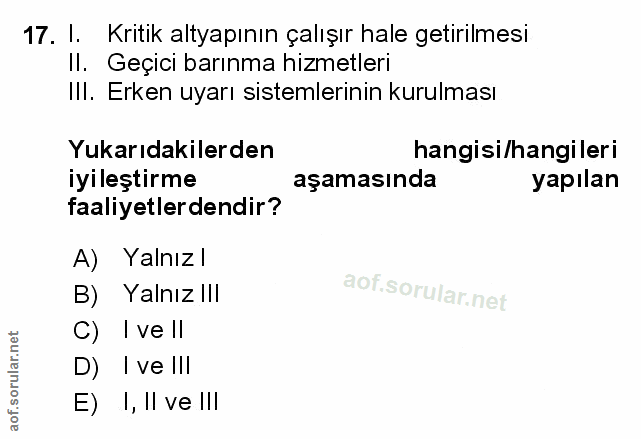 Soru 17
