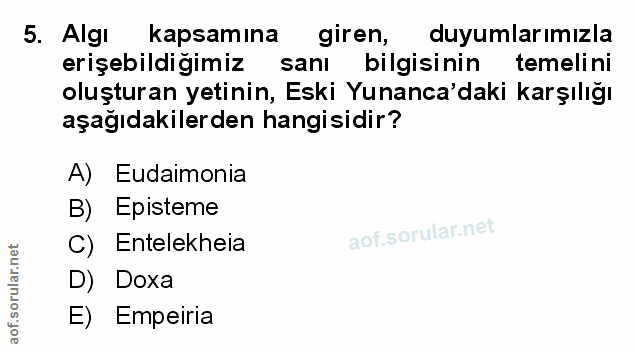 Soru 5