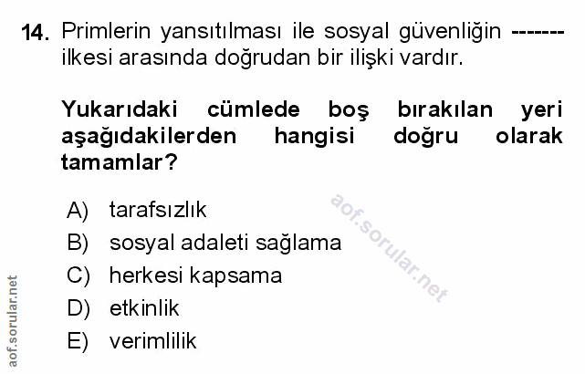 Soru 14