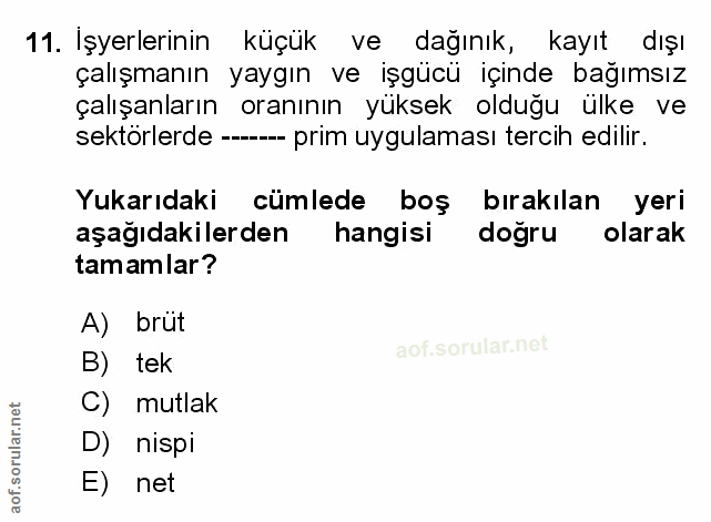 Soru 11