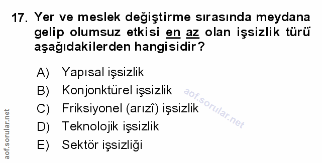 Soru 17