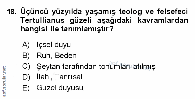 Soru 18