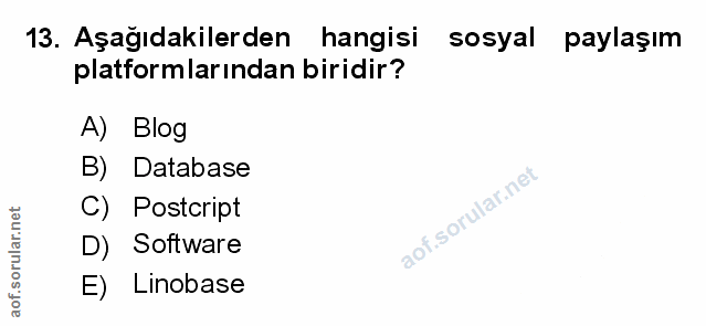 Soru 13
