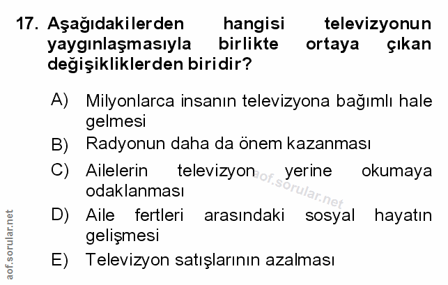Soru 17