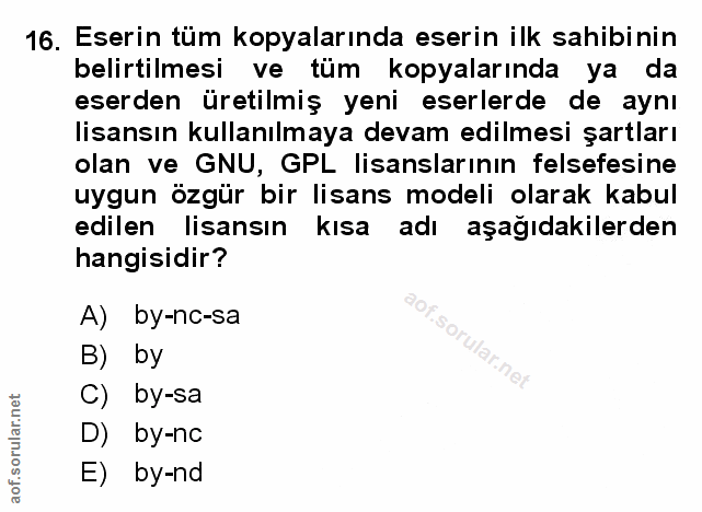 Soru 16