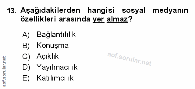 Soru 13