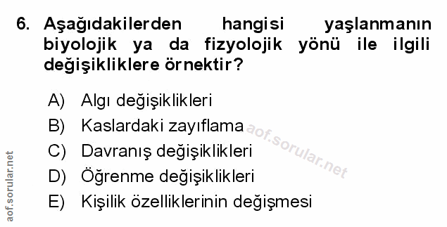 Soru 6