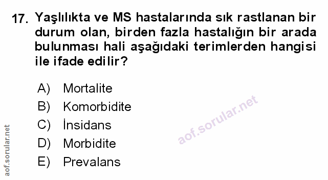 Soru 17