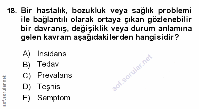 Soru 18