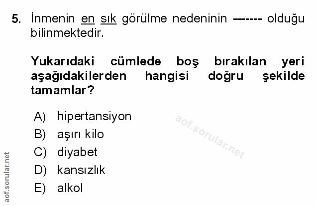 Soru 5