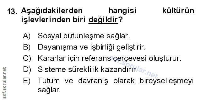 Soru 13