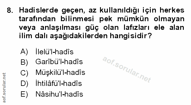Soru 8