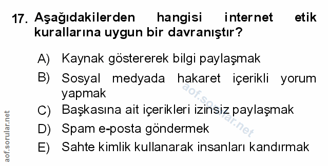 Soru 17