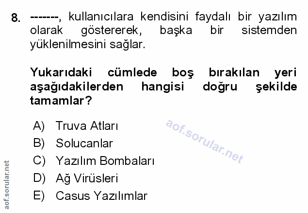 Soru 8