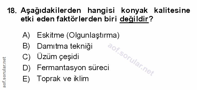 Soru 18