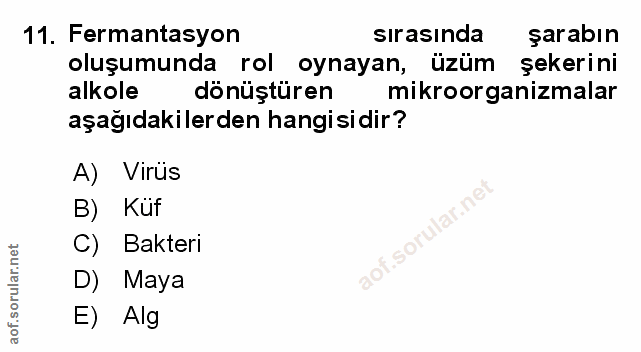 Soru 11