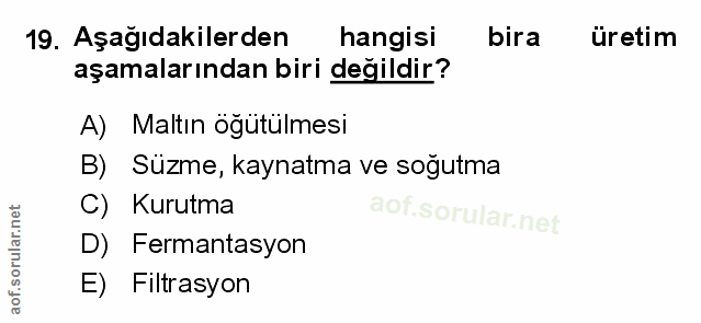 Soru 19