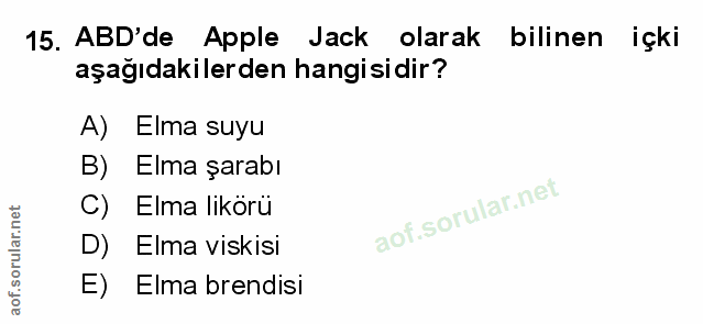 Soru 15