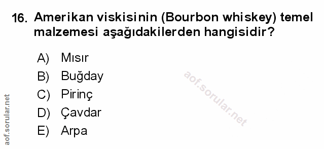 Soru 16