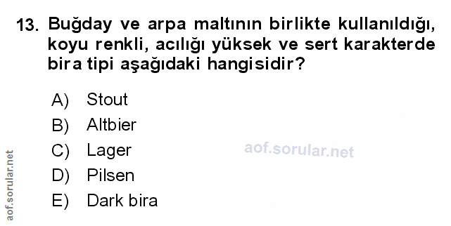 Soru 13