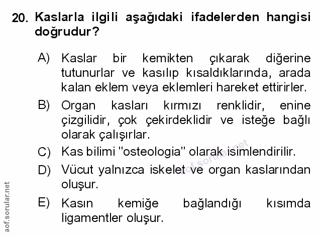 Soru 20