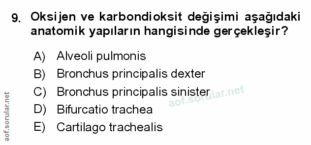 Soru 9