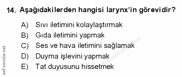Soru 14