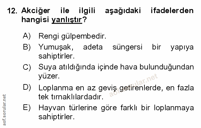 Soru 12
