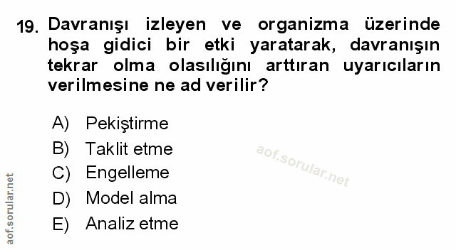 Soru 19