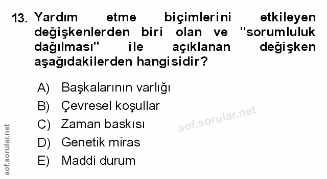 Soru 13