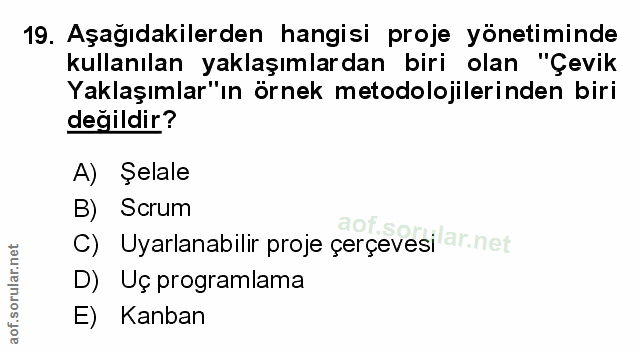 Soru 19