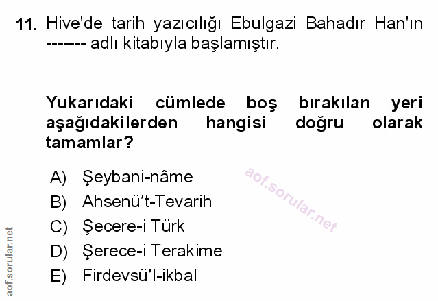 Soru 11