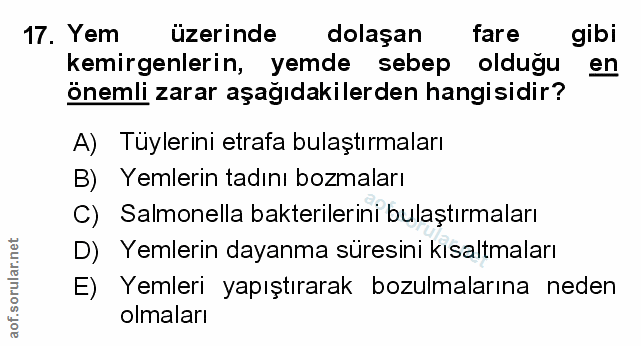 Soru 17