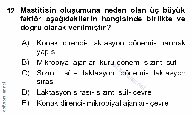 Soru 12
