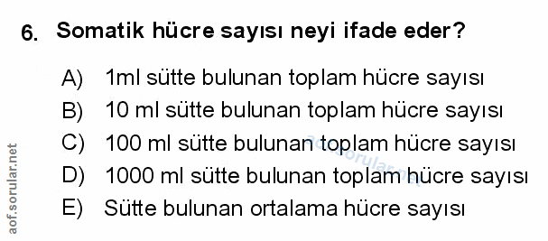 Soru 6