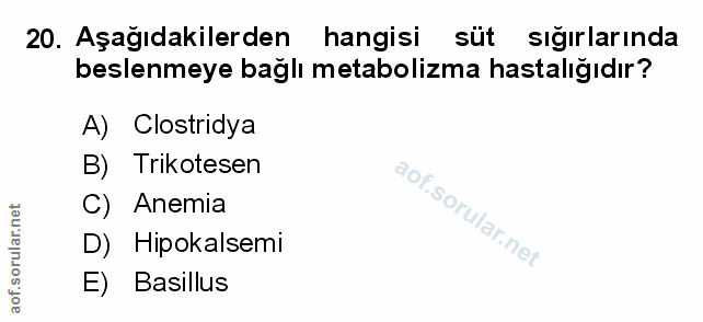 Soru 20