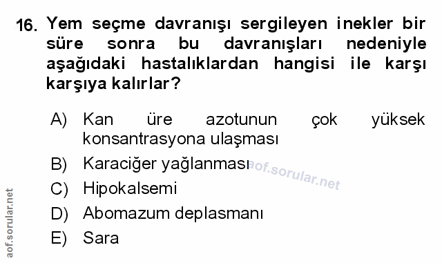 Soru 16