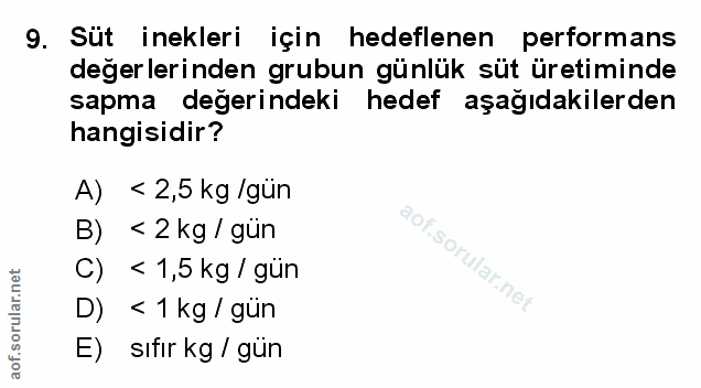 Soru 9
