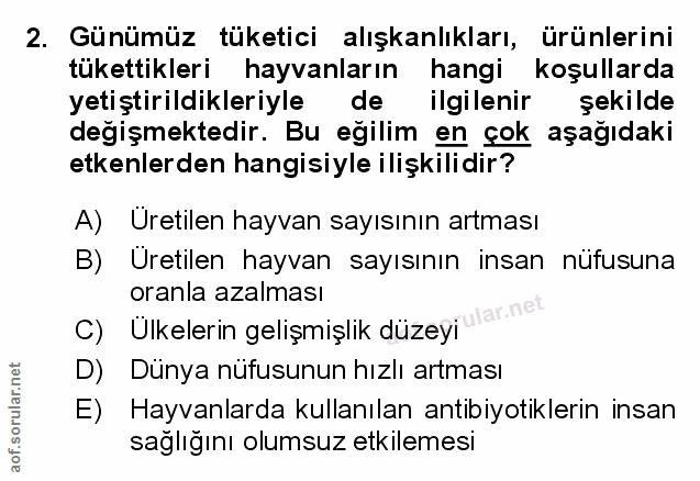 Soru 2