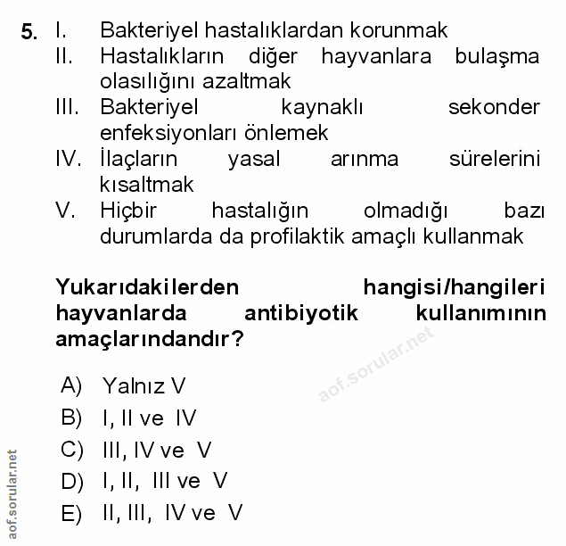 Soru 5