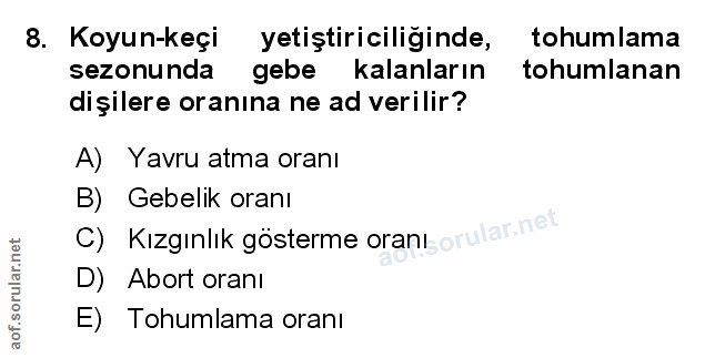 Soru 8