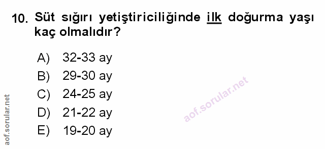 Soru 10