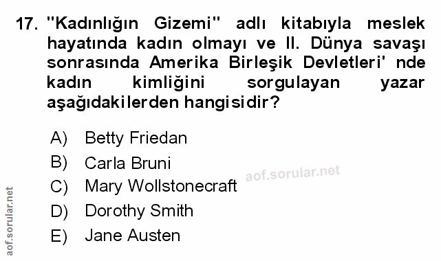 Soru 17