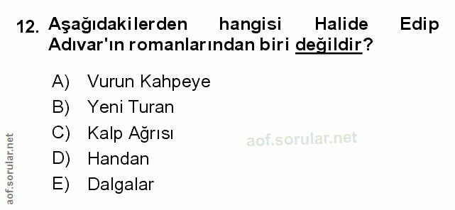 Soru 12