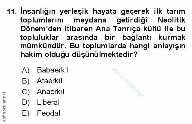 Soru 11