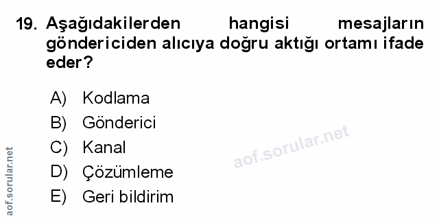 Soru 19