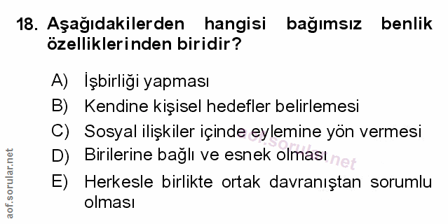 Soru 18
